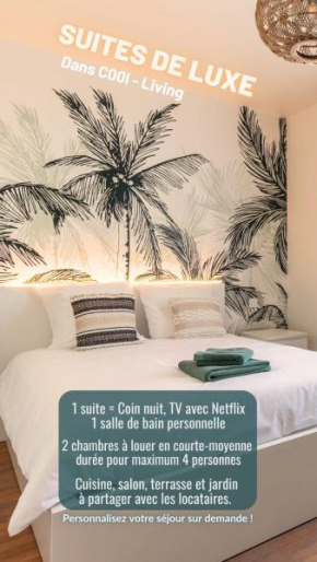 CoolLiving Suites personnelles 10 Mins Beauval Maison Jardin Parfait Télétravail